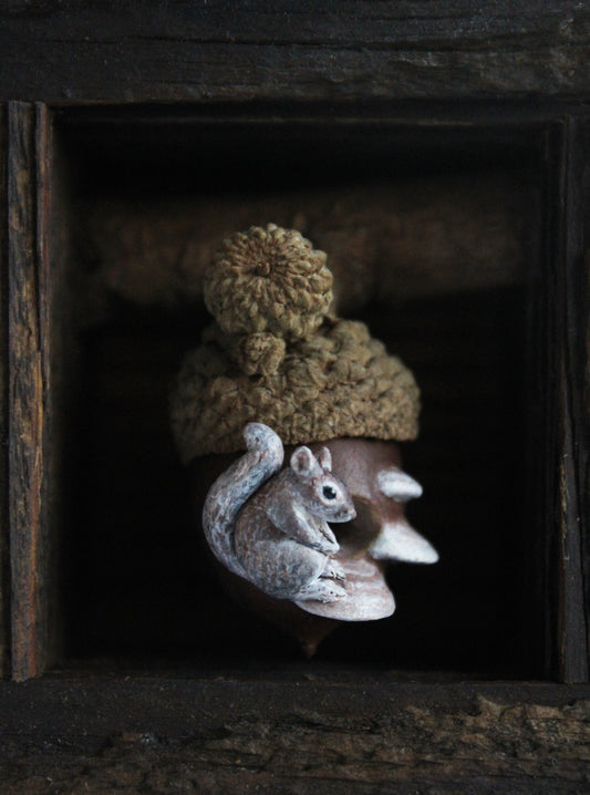 A Squirrel's Acorn Home III | Wooden Shadowbox