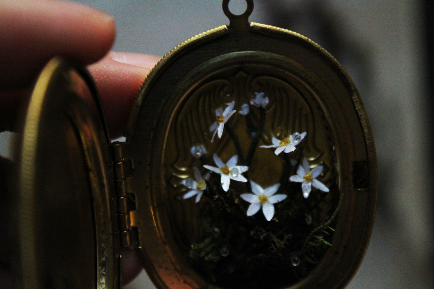 The Finding & Spreading of the Star Flowers | Locket Necklace