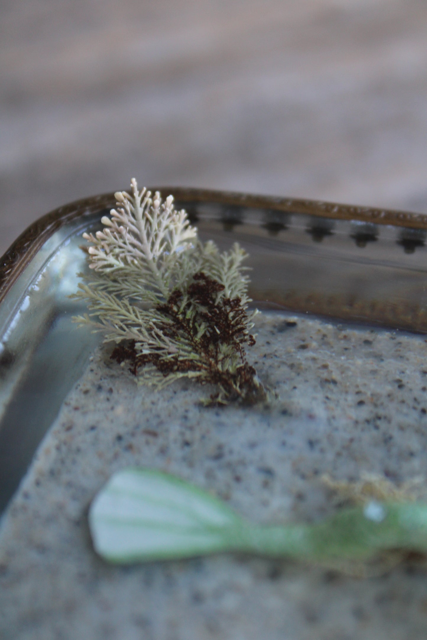 The Green Water Dragon | Glass Dish Sculpture