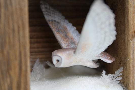 The Stillness of Winter Before Spring III | Wooden Shadowbox