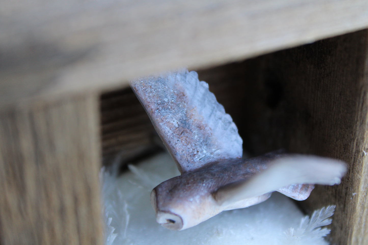 The Stillness of Winter Before Spring III | Wooden Shadowbox