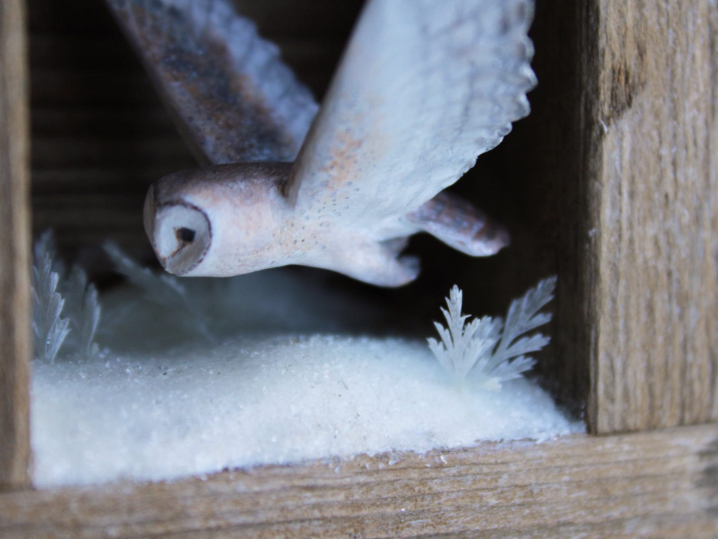 The Stillness of Winter Before Spring III | Wooden Shadowbox