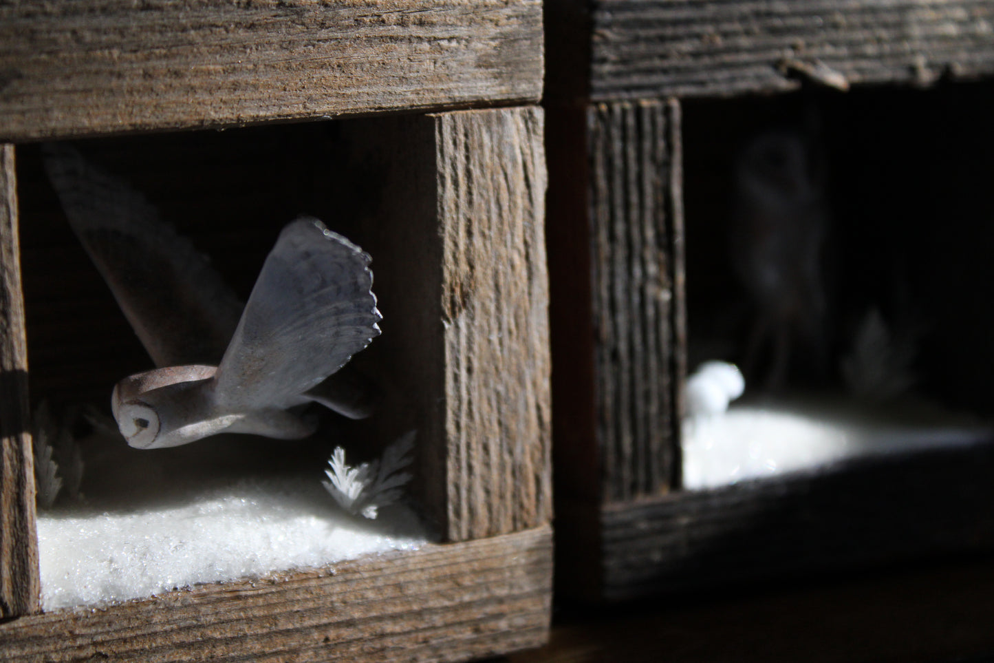 The Stillness of Winter Before Spring III | Wooden Shadowbox