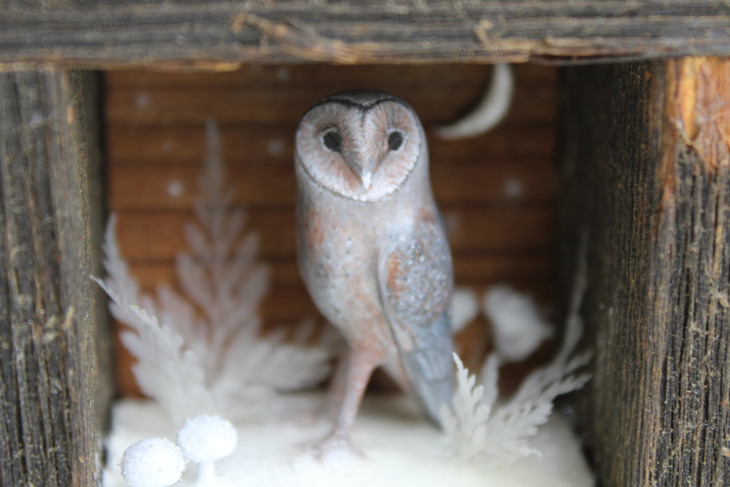 The Stillness of Winter Before Spring II | Wooden Shadowbox