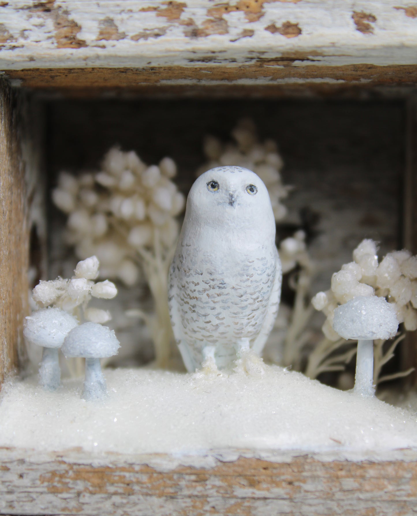 The Stillness of Winter Before Spring IV | Wooden Shadowbox