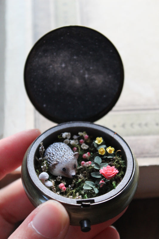 Wonder | Pocket Locket {restocking}