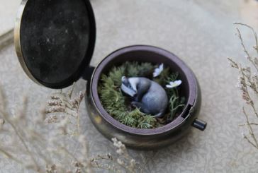 Awakening with the Moon | Pocket Locket {restocking}