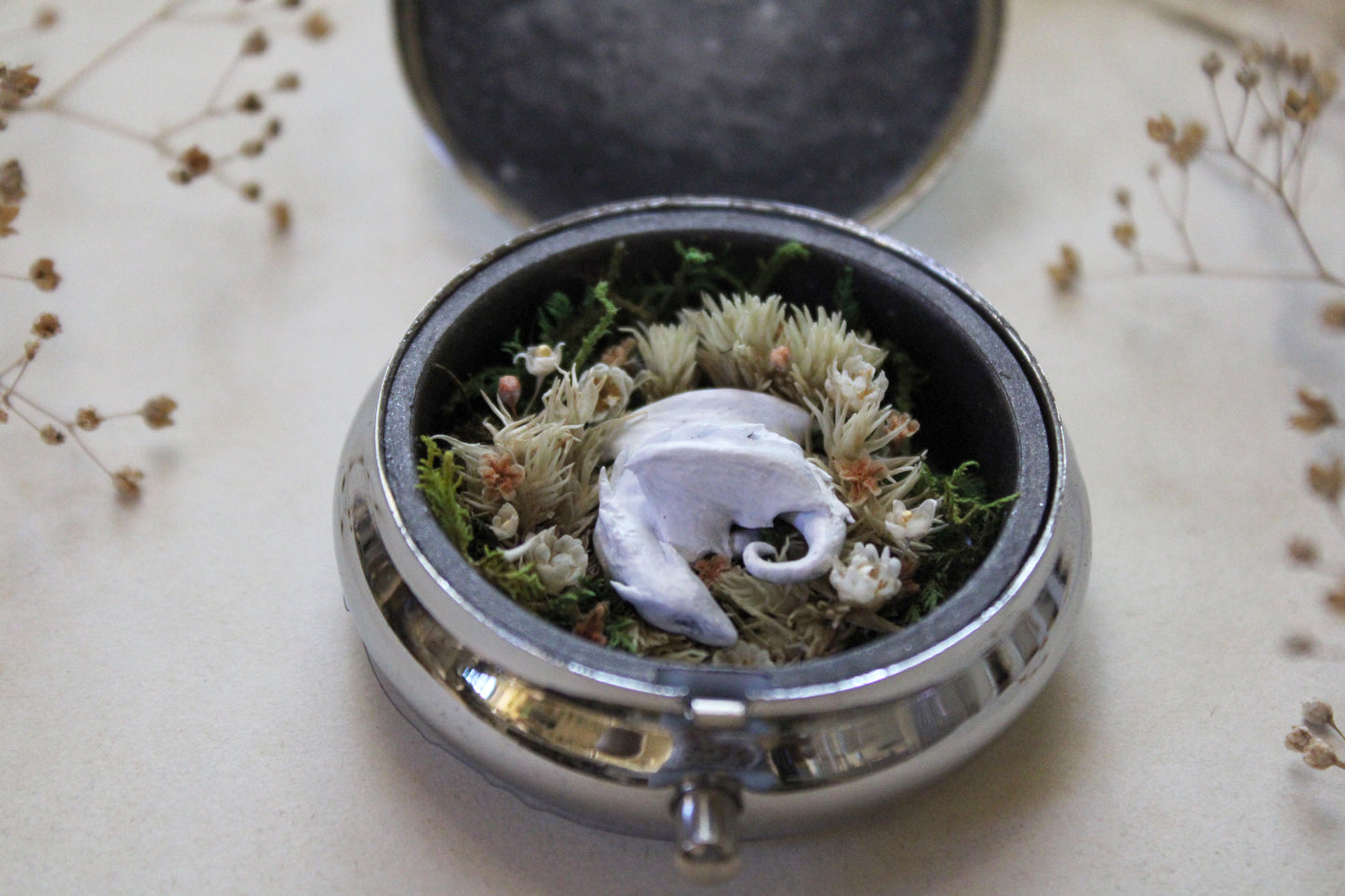 A Home in the Meadowland | Pocket Locket