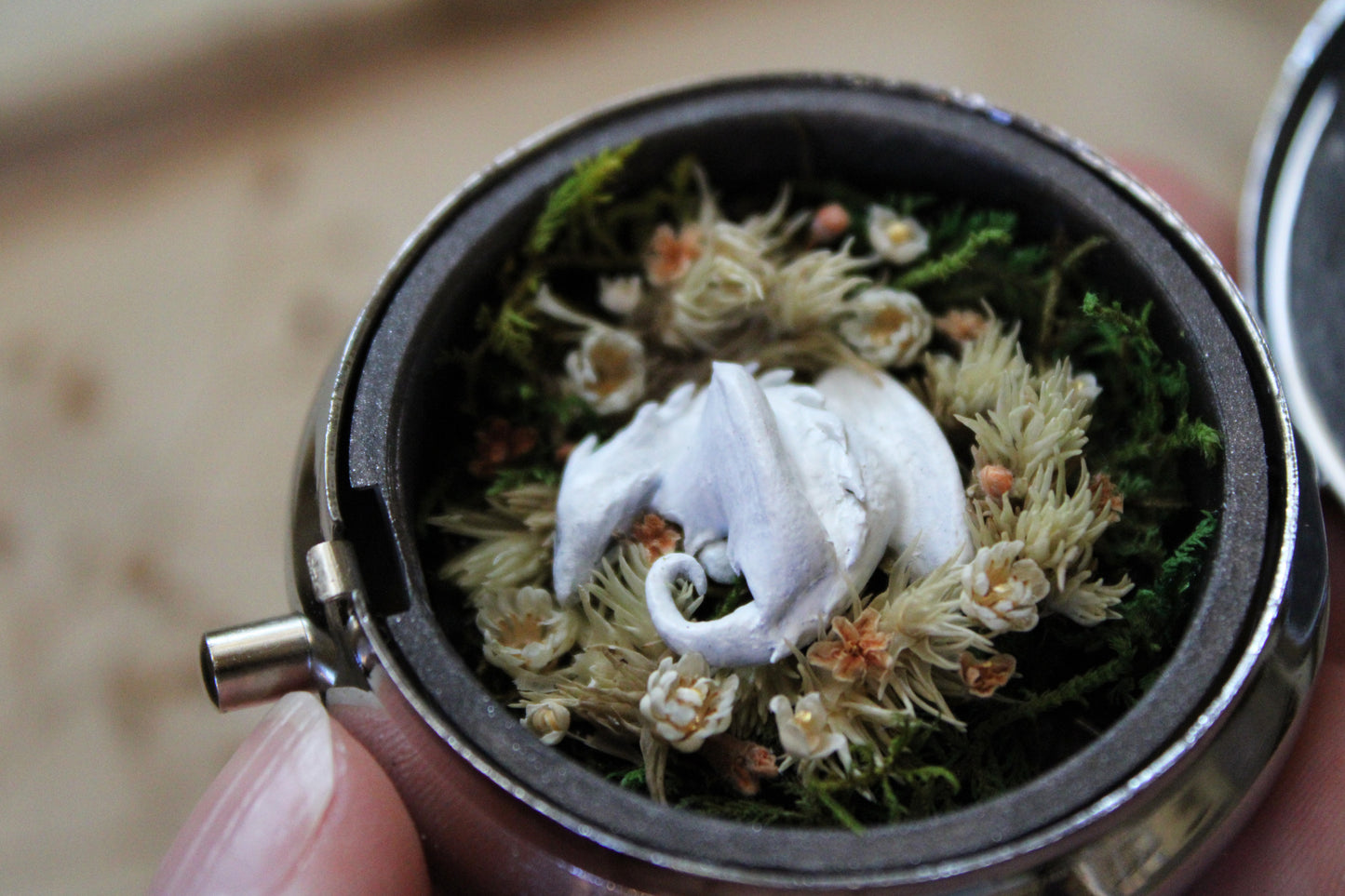 A Home in the Meadowland | Pocket Locket