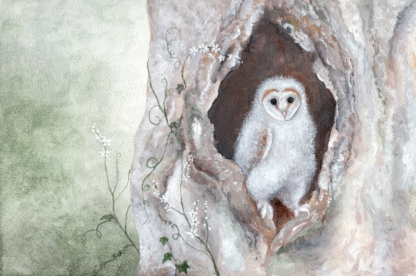 A First Look at the World | 6 x 4 Inch Giclée Print