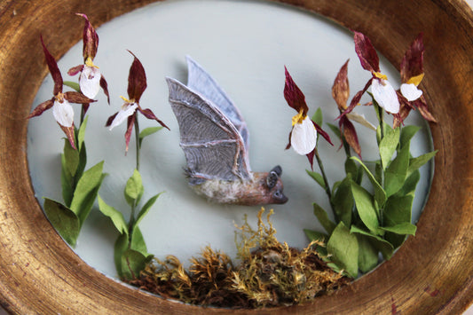 A Flight Over the Lady’s Slippers | Plaque Sculpture