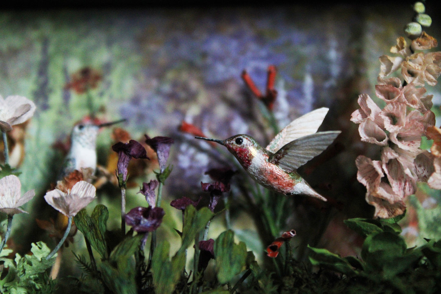 A Garden for the Hummingbirds | Glass Shadowbox Sculpture