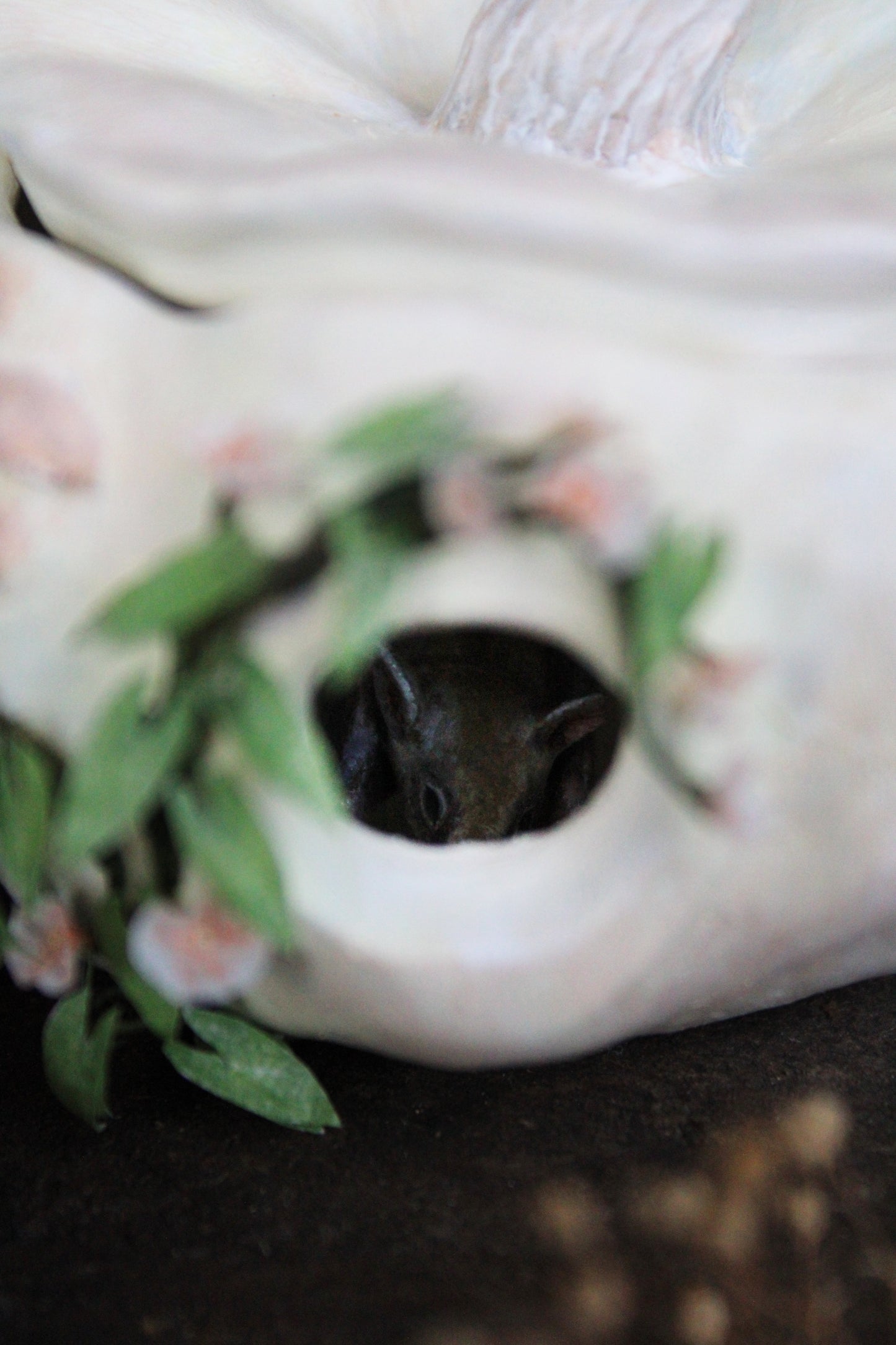 A Home for a Bat | Pumpkin Sculpture