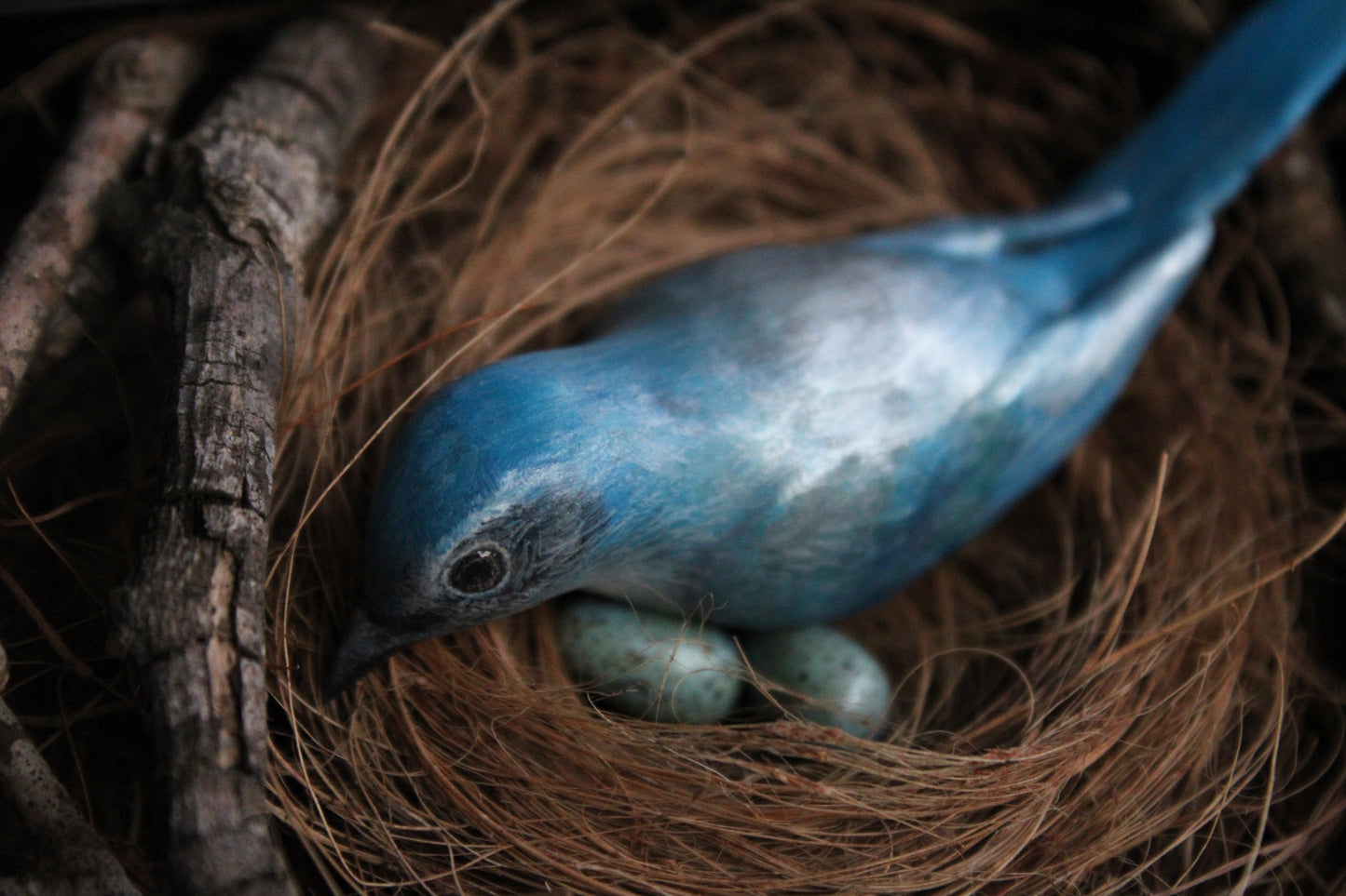 A Nest of Fierce Azure Love | Glass Shadowbox Sculpture
