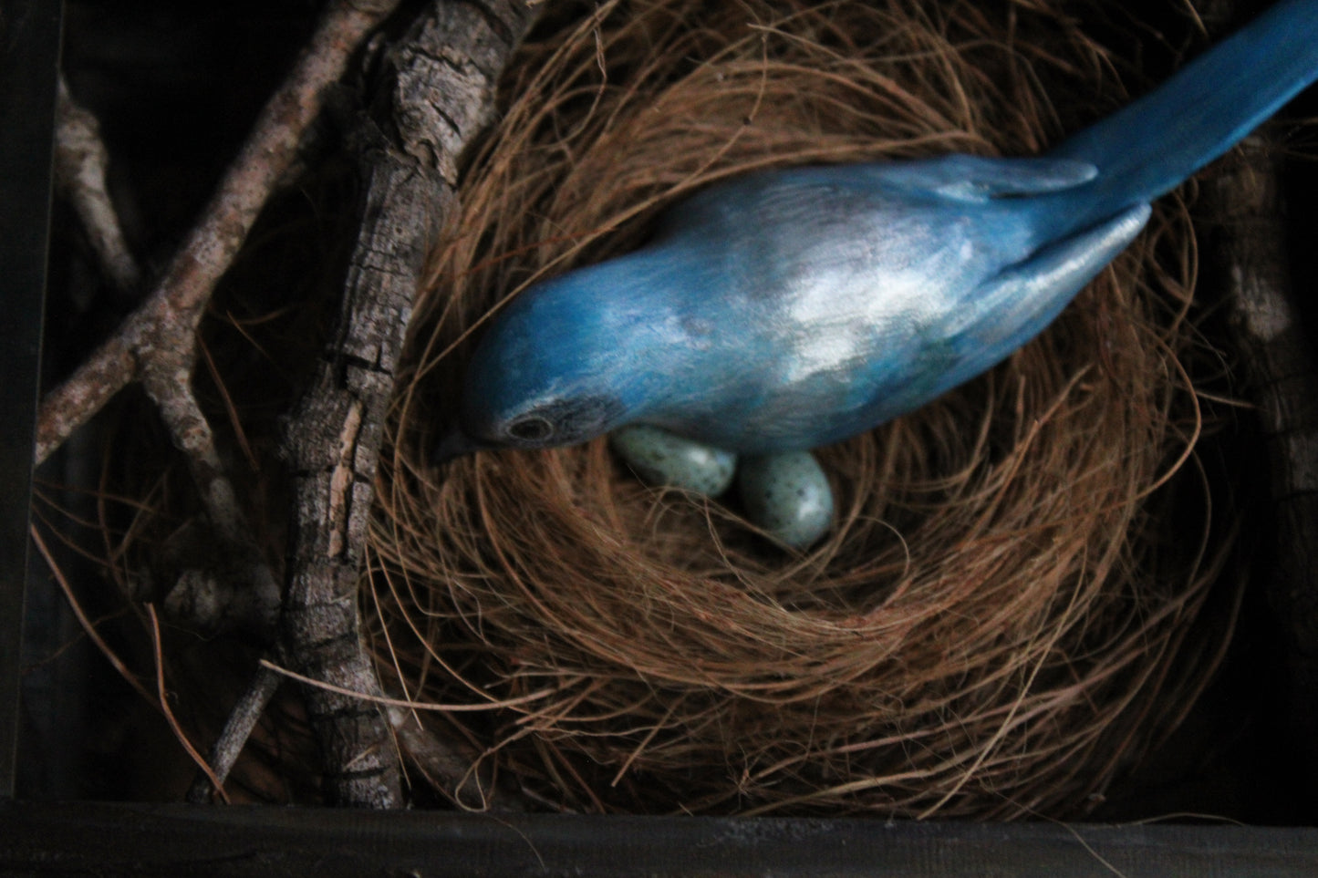A Nest of Fierce Azure Love | Glass Shadowbox Sculpture