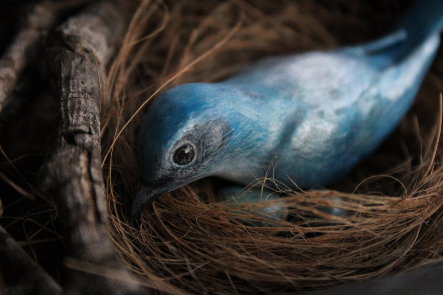 A Nest of Fierce Azure Love | Glass Shadowbox Sculpture