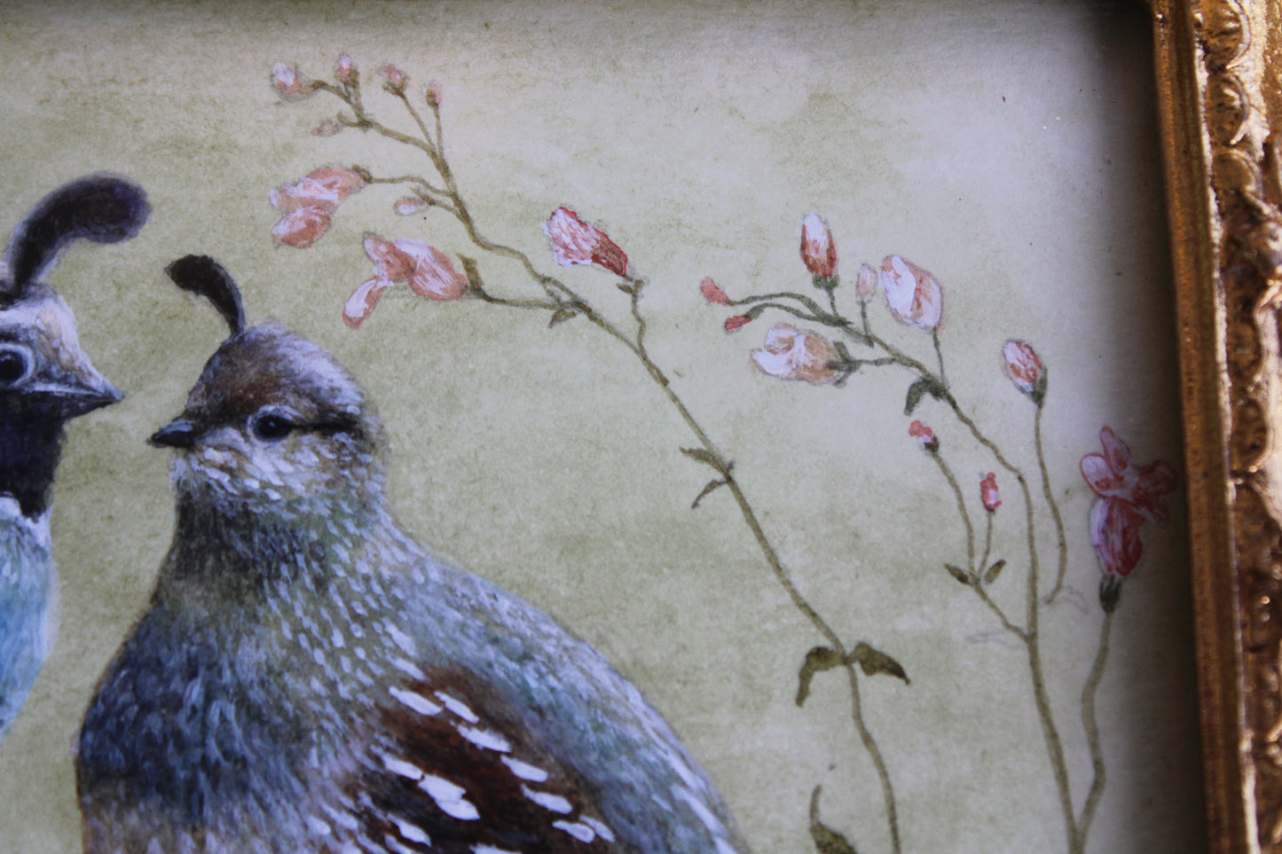 A Quail Family | Original Watercolor Painting