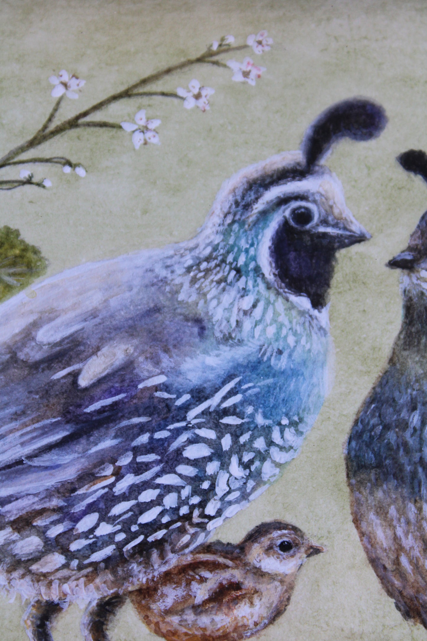 A Quail Family | Original Watercolor Painting