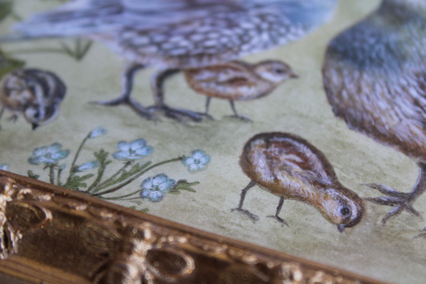 A Quail Family | Original Watercolor Painting