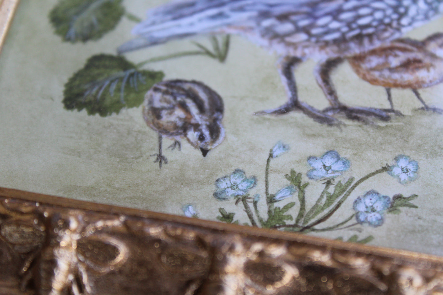 A Quail Family | Original Watercolor Painting