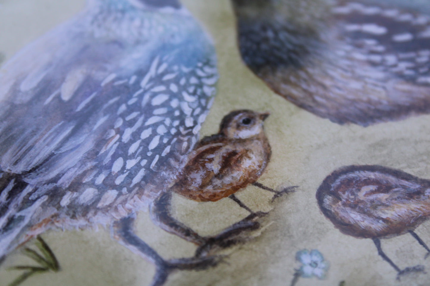 A Quail Family | Original Watercolor Painting