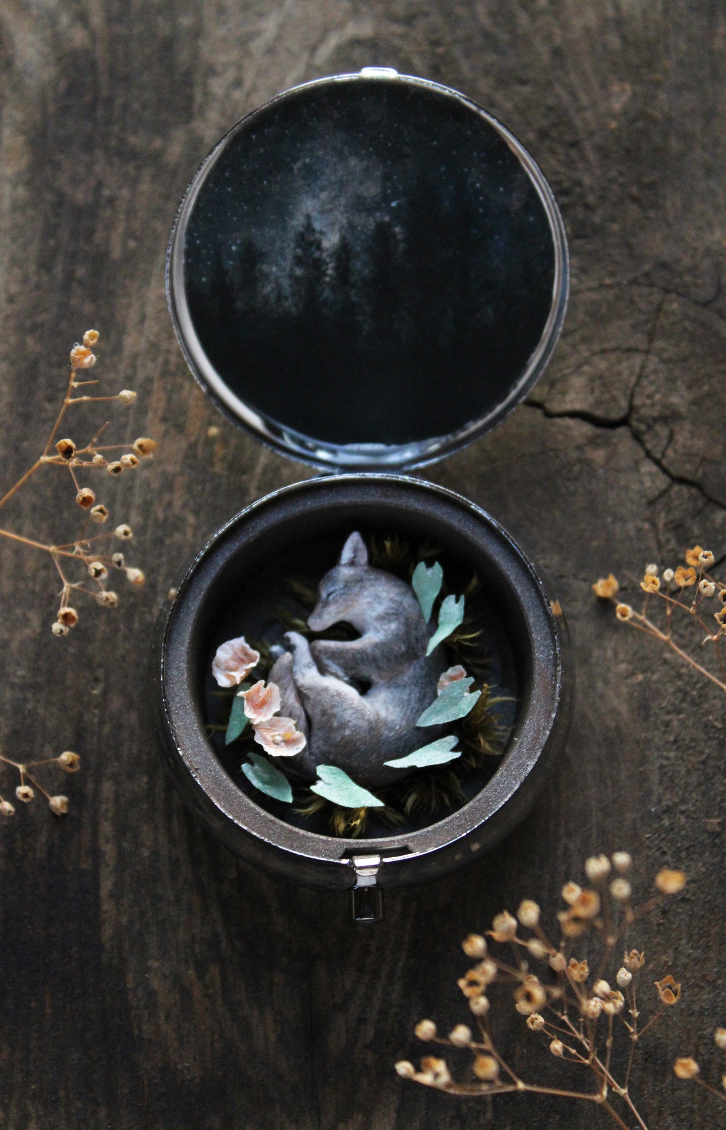 A Return to the Stars | Pocket Locket