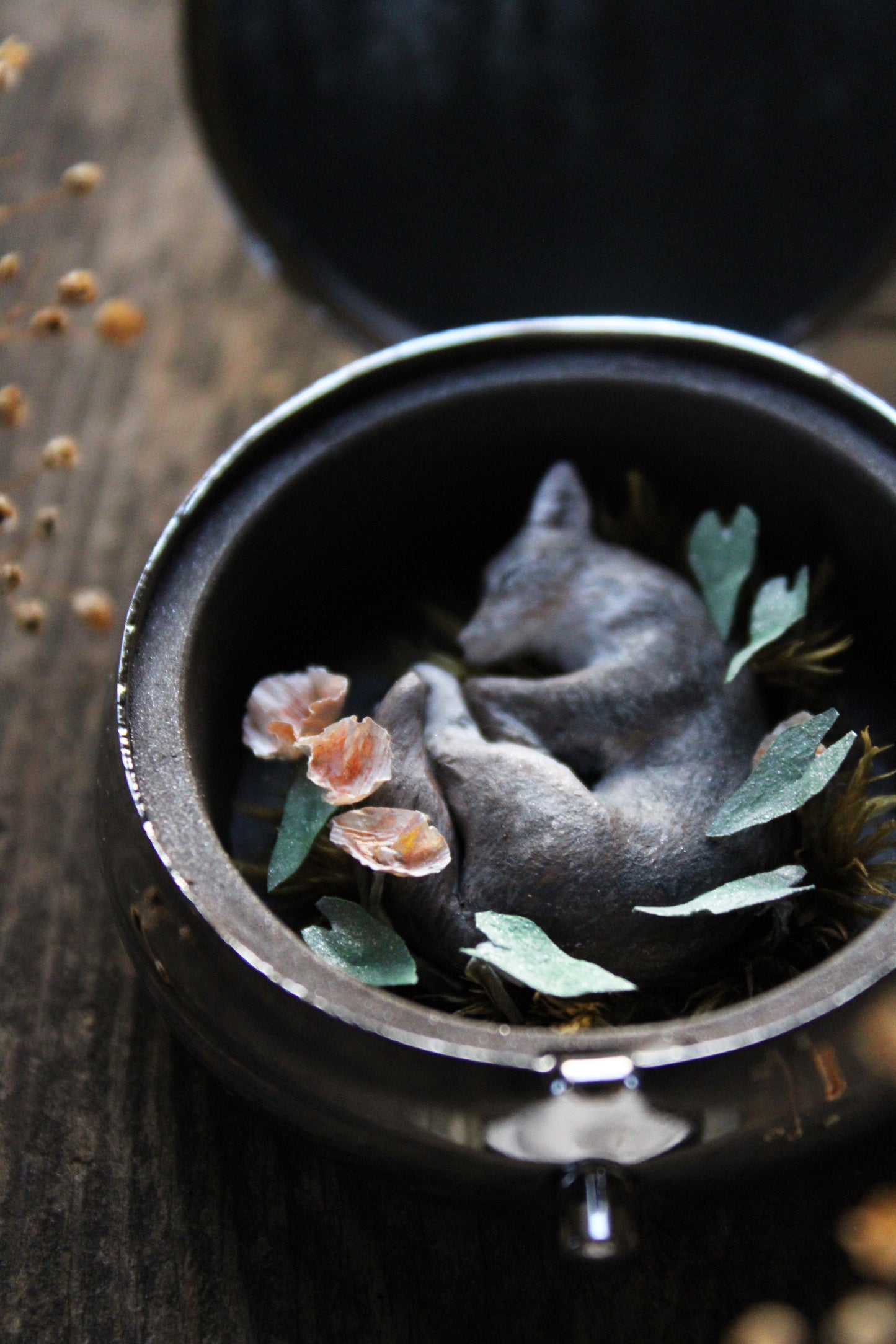 A Return to the Stars | Pocket Locket