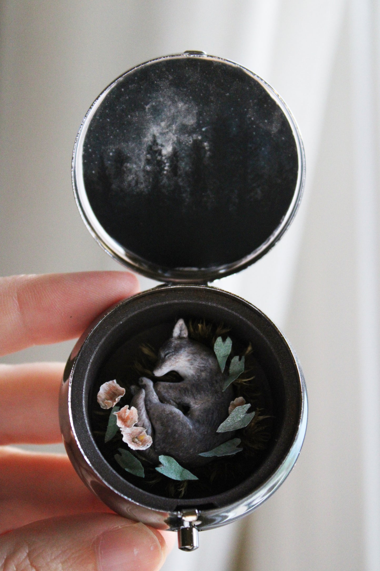 A Return to the Stars | Pocket Locket