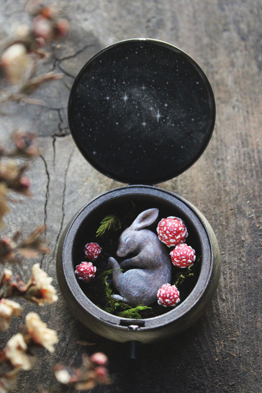 A Return to the Stars II | Pocket Locket