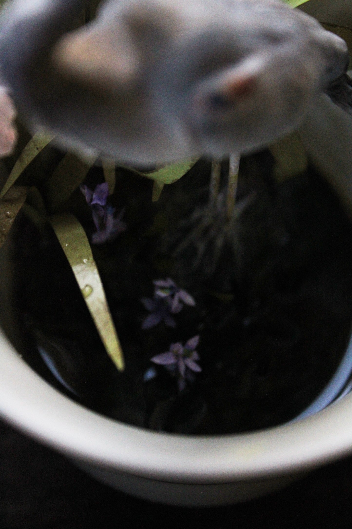 A Sip of Stillness | Heron Teacup Sculpture