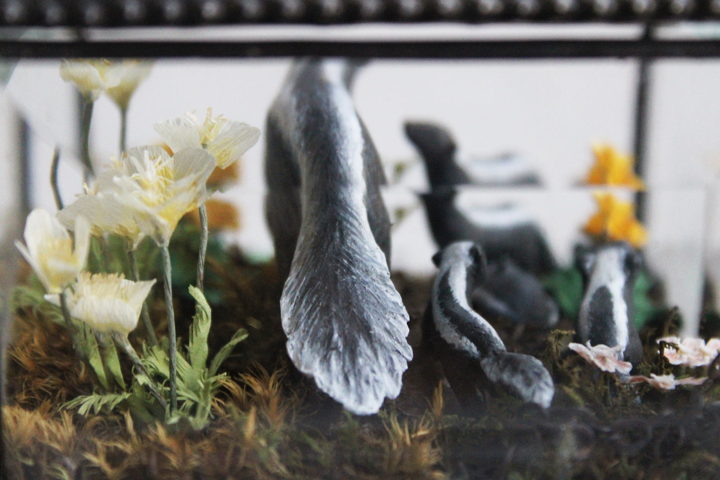 Awakening at Dusk | Glass Shadowbox Sculpture