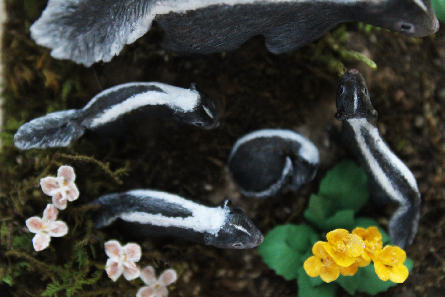 Awakening at Dusk | Glass Shadowbox Sculpture