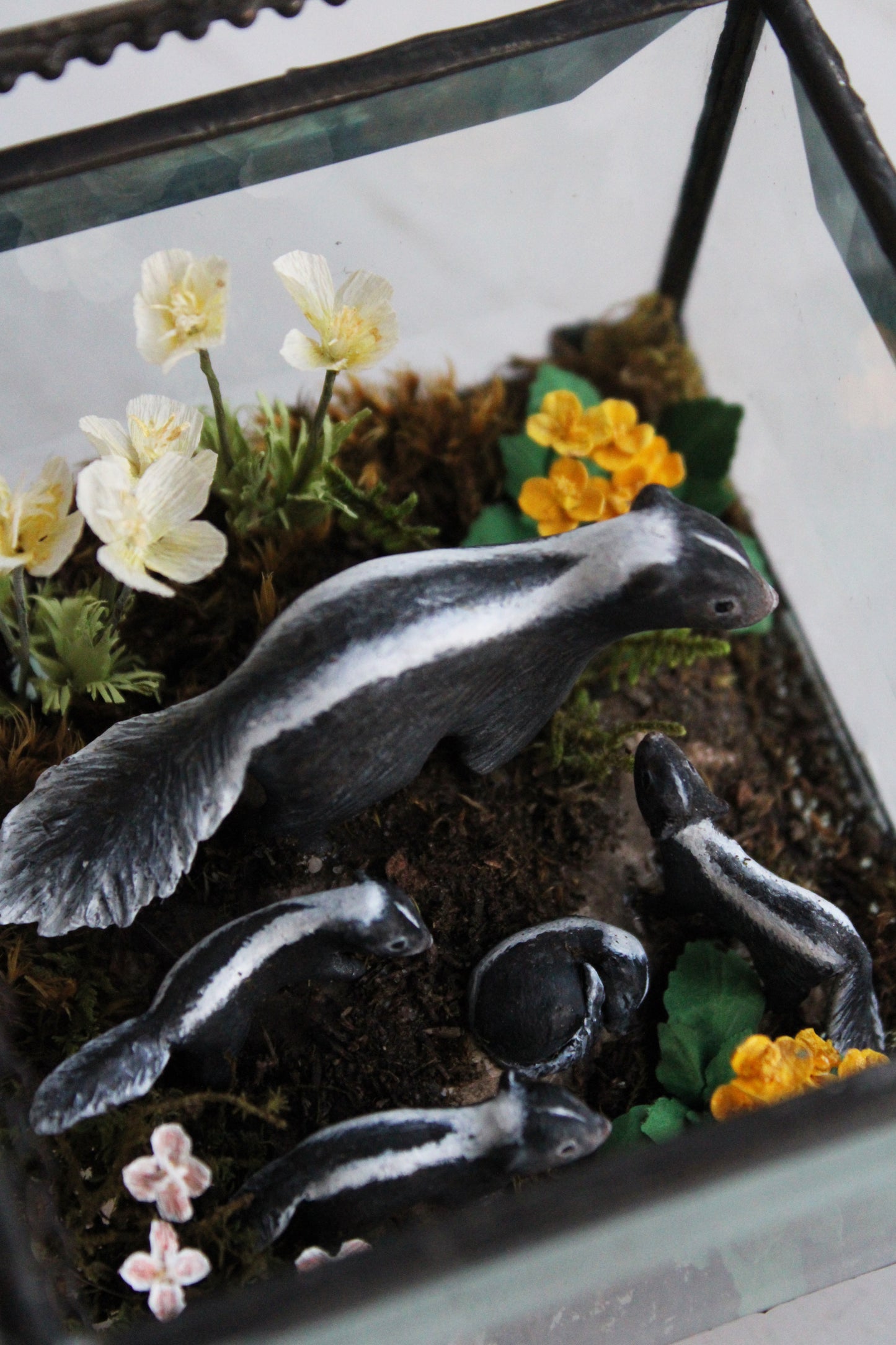 Awakening at Dusk | Glass Shadowbox Sculpture