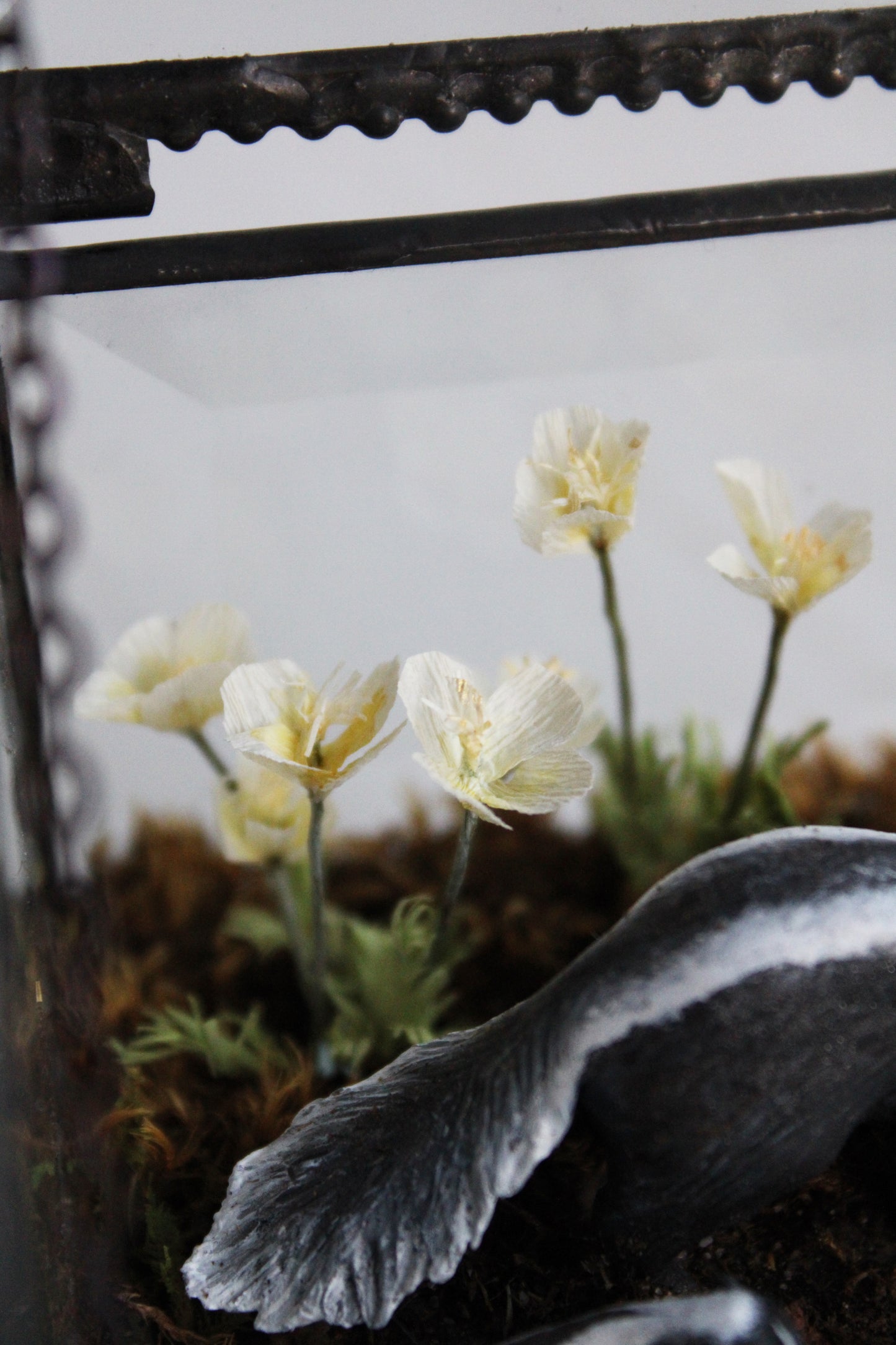 Awakening at Dusk | Glass Shadowbox Sculpture