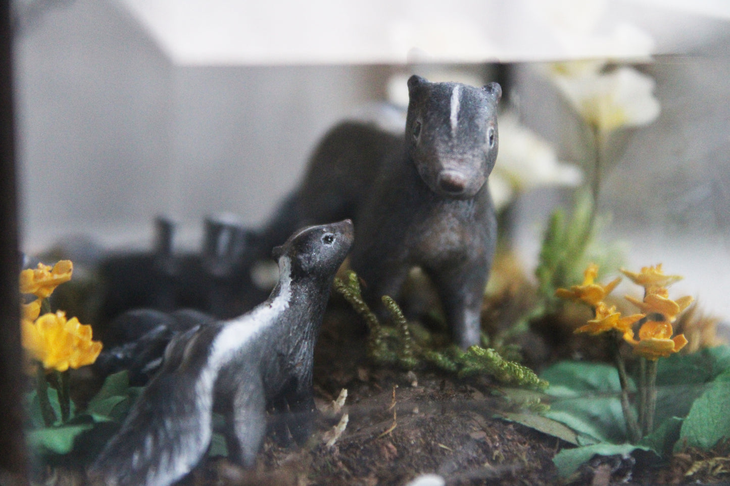 Awakening at Dusk | Glass Shadowbox Sculpture