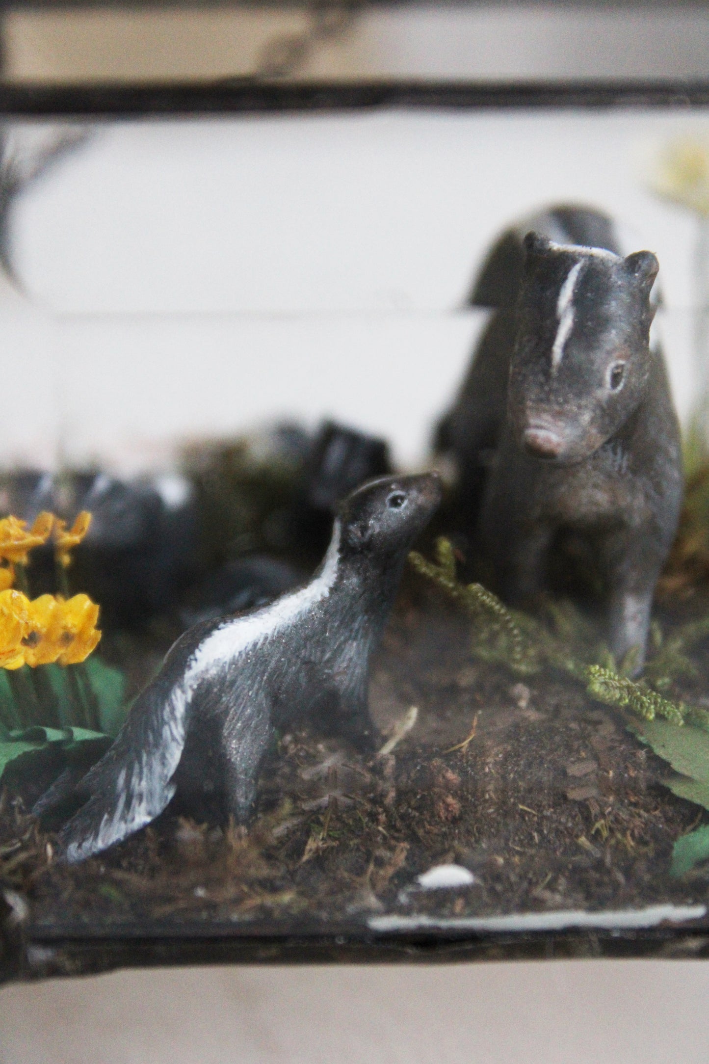 Awakening at Dusk | Glass Shadowbox Sculpture