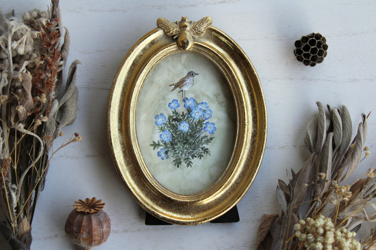 Baby Blue Eyes & Hermit Thrush | Original Watercolor Painting