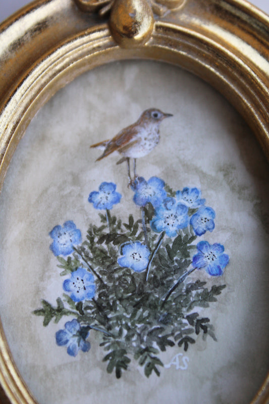 Baby Blue Eyes & Hermit Thrush | Original Watercolor Painting
