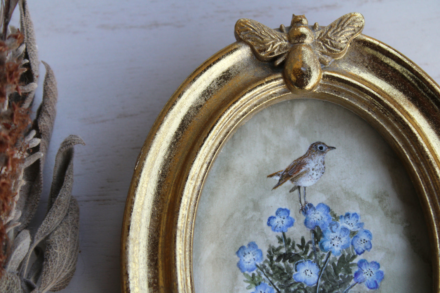 Baby Blue Eyes & Hermit Thrush | Original Watercolor Painting