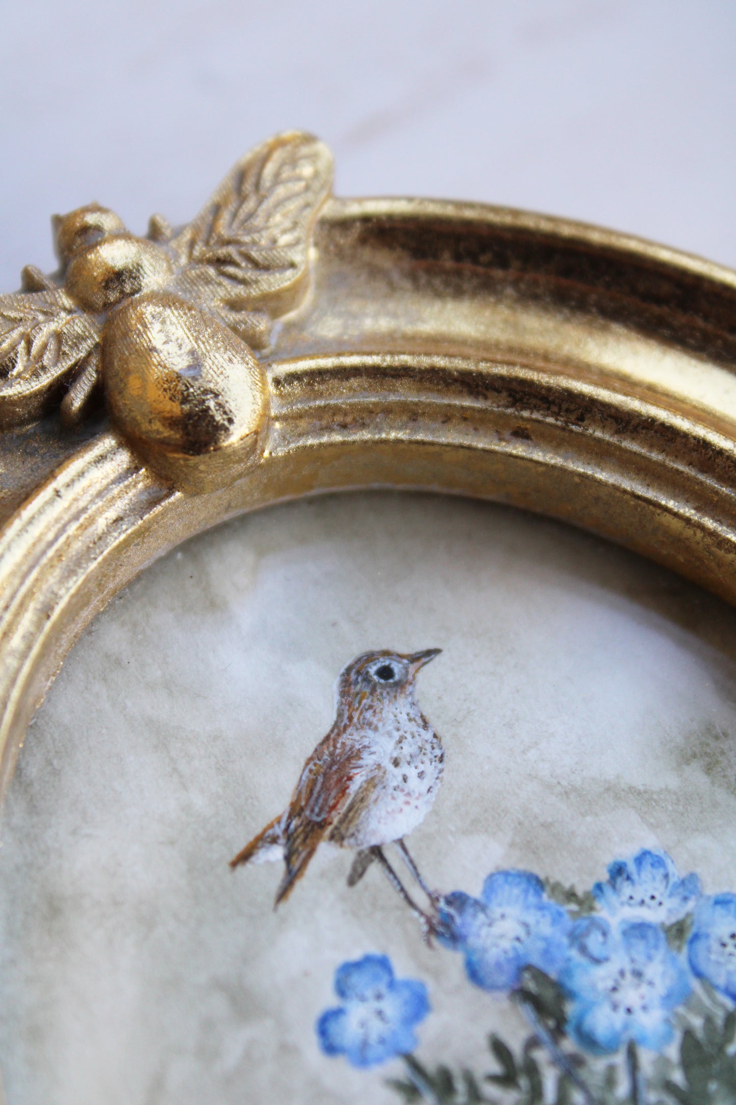 Baby Blue Eyes & Hermit Thrush | Original Watercolor Painting