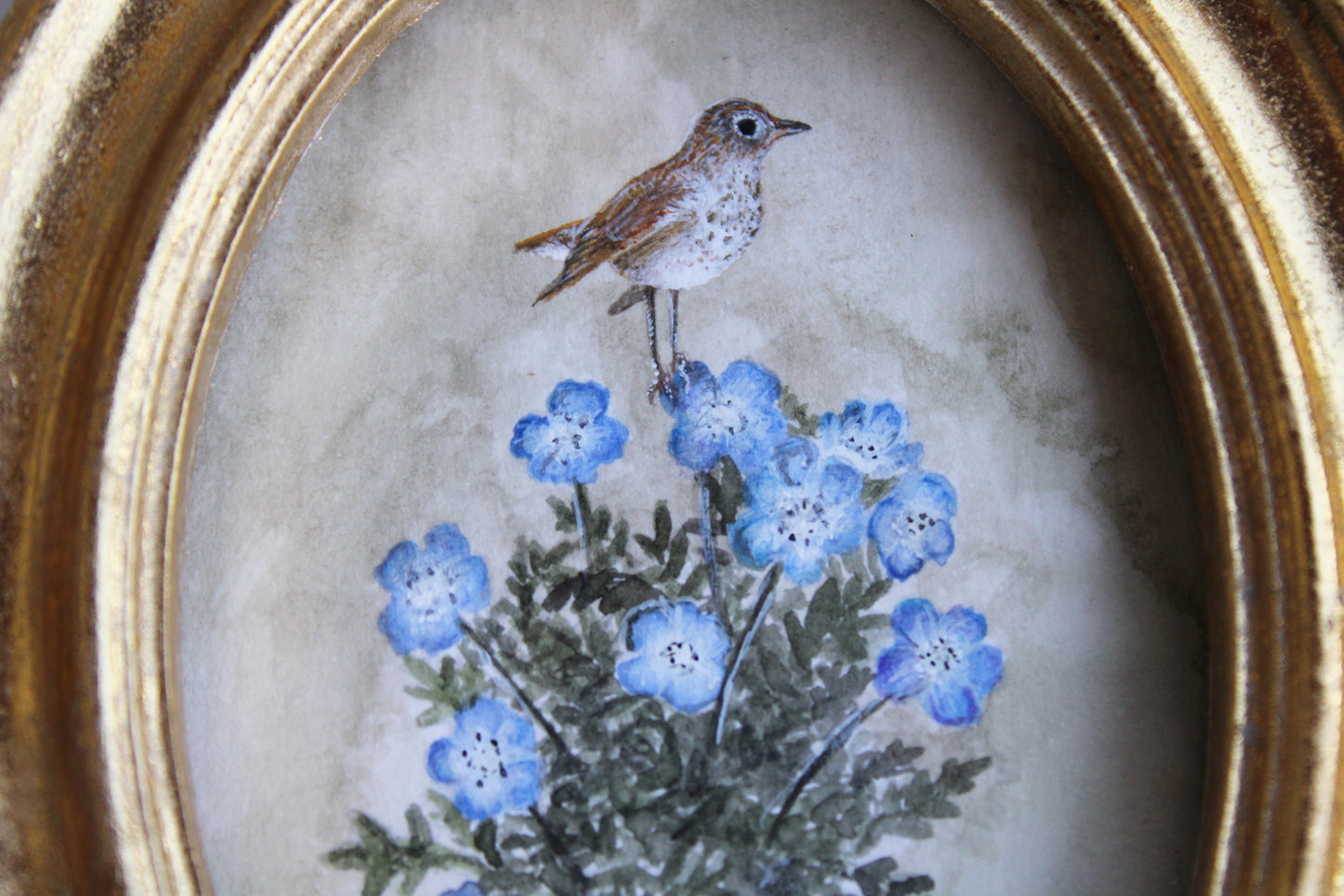 Baby Blue Eyes & Hermit Thrush | Original Watercolor Painting