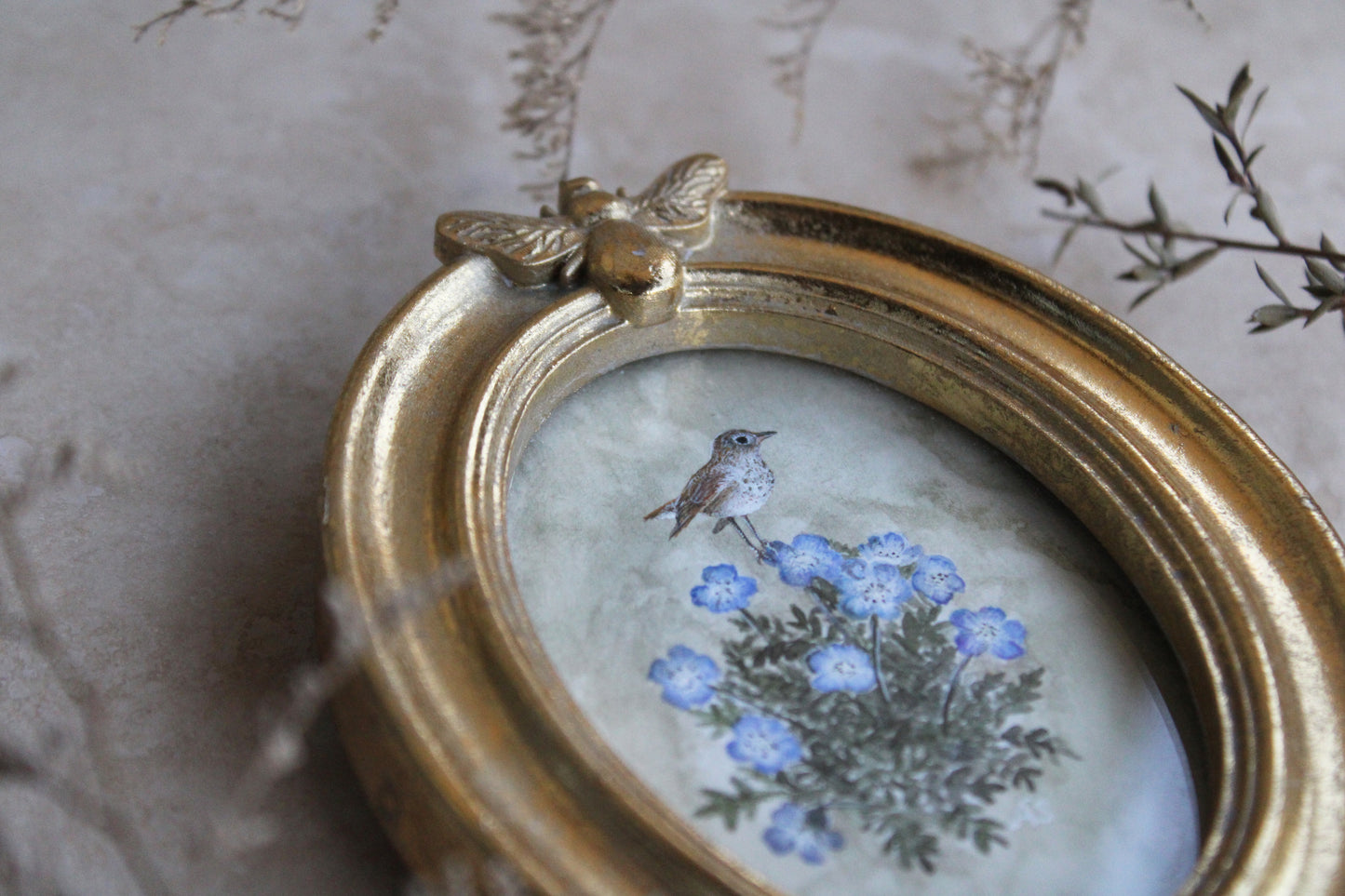 Baby Blue Eyes & Hermit Thrush | Original Watercolor Painting