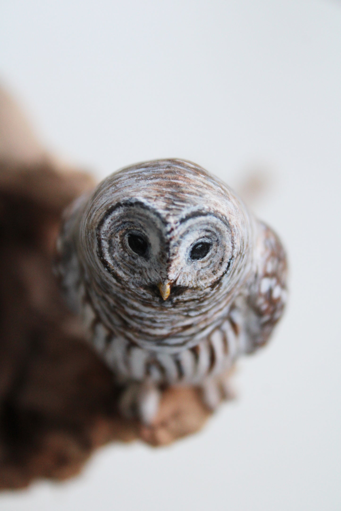 Barred Owl Family II | Wood Sculpture