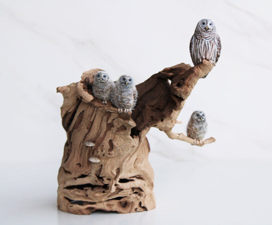 Barred Owl Family II | Wood Sculpture