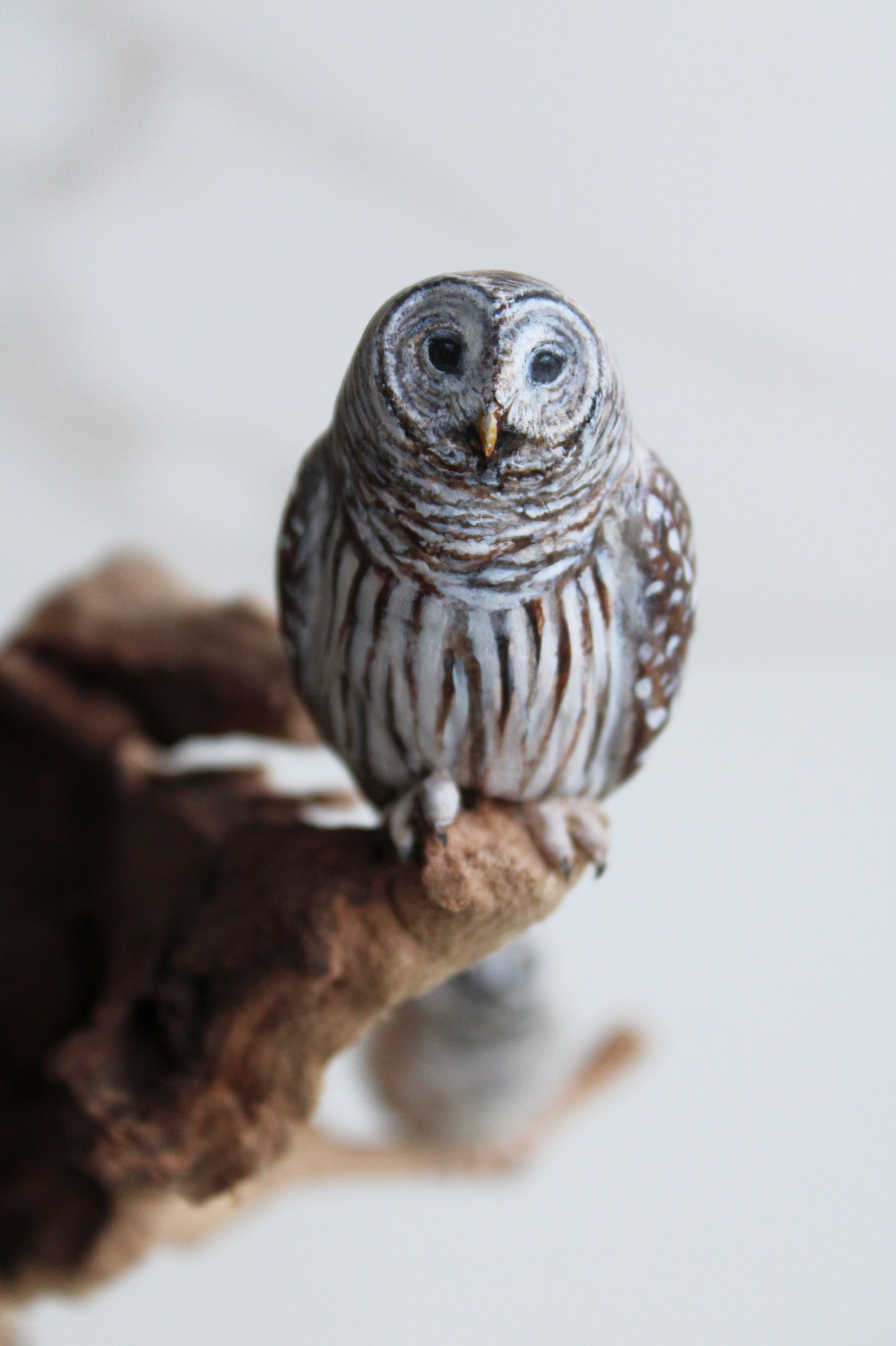 Barred Owl Family II | Wood Sculpture