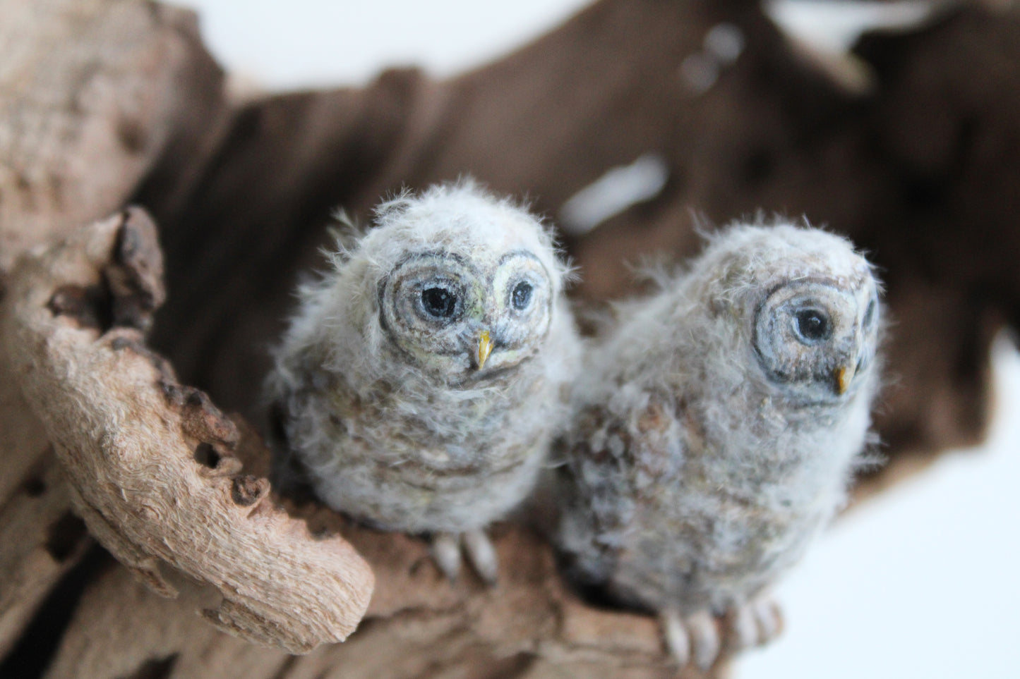 Barred Owl Family II | Wood Sculpture