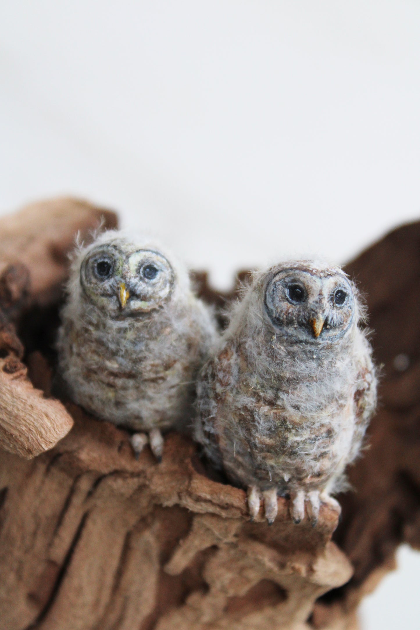 Barred Owl Family II | Wood Sculpture