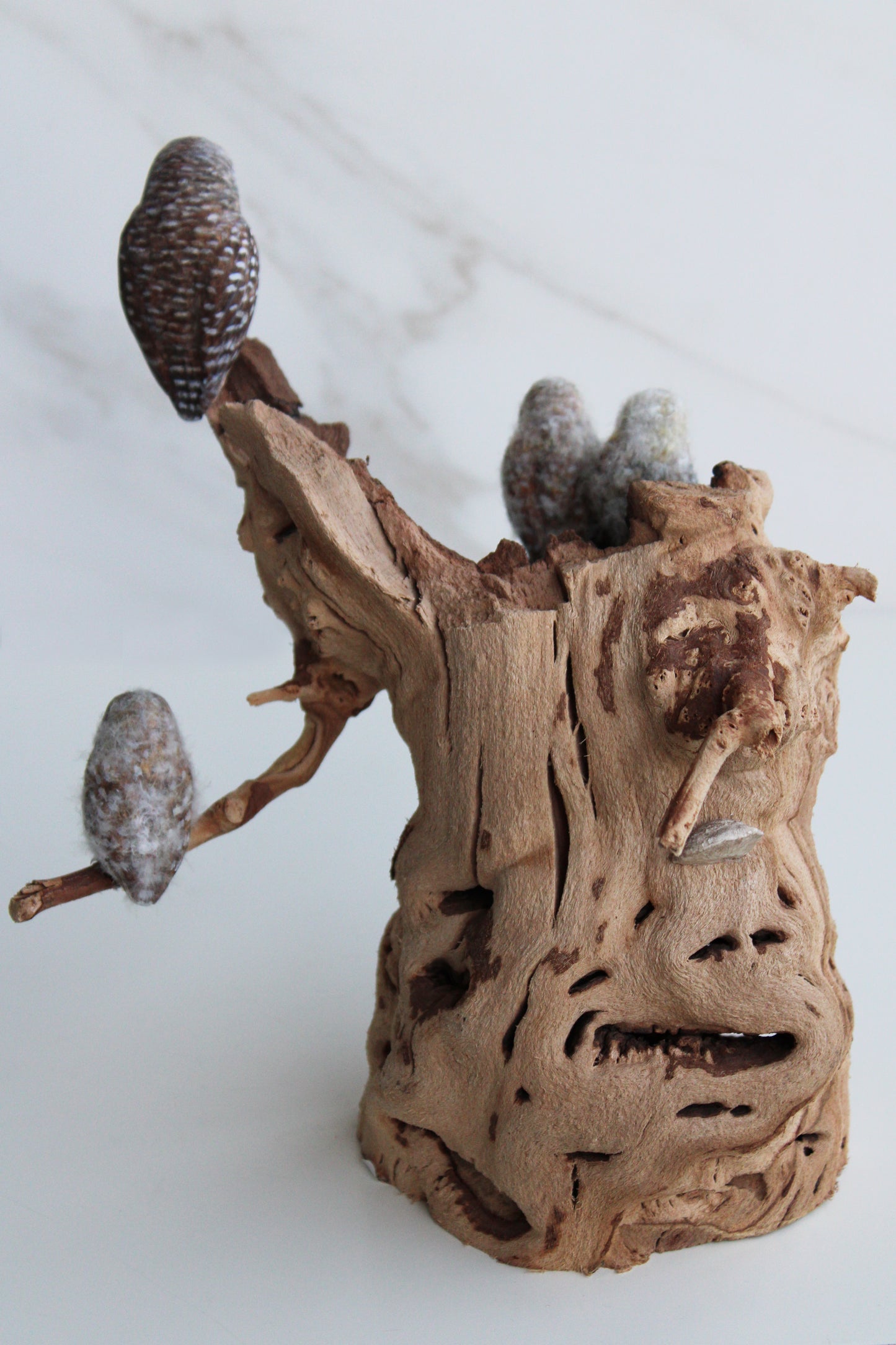 Barred Owl Family II | Wood Sculpture