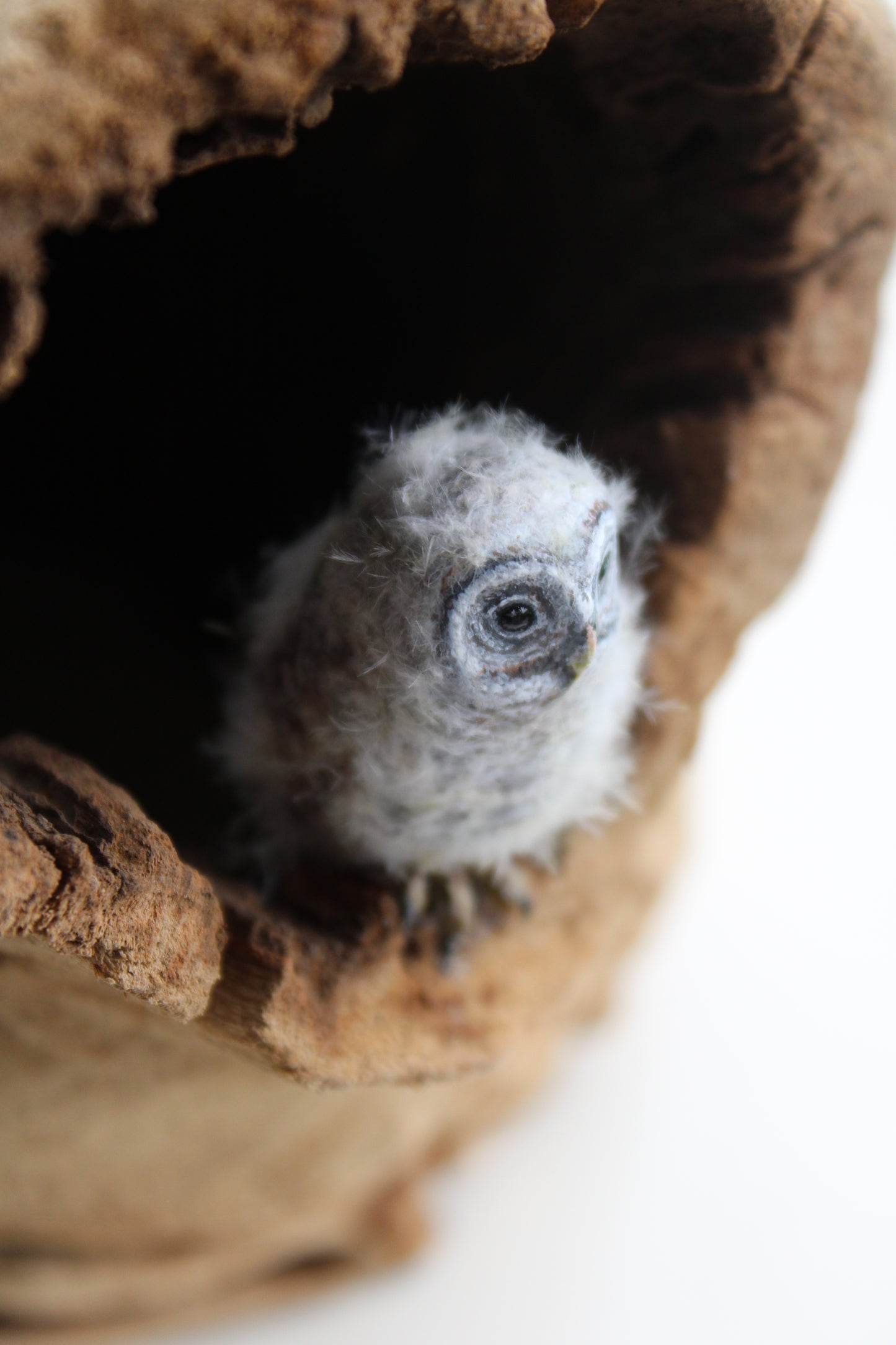 Barred Owl Family | Wood Sculpture