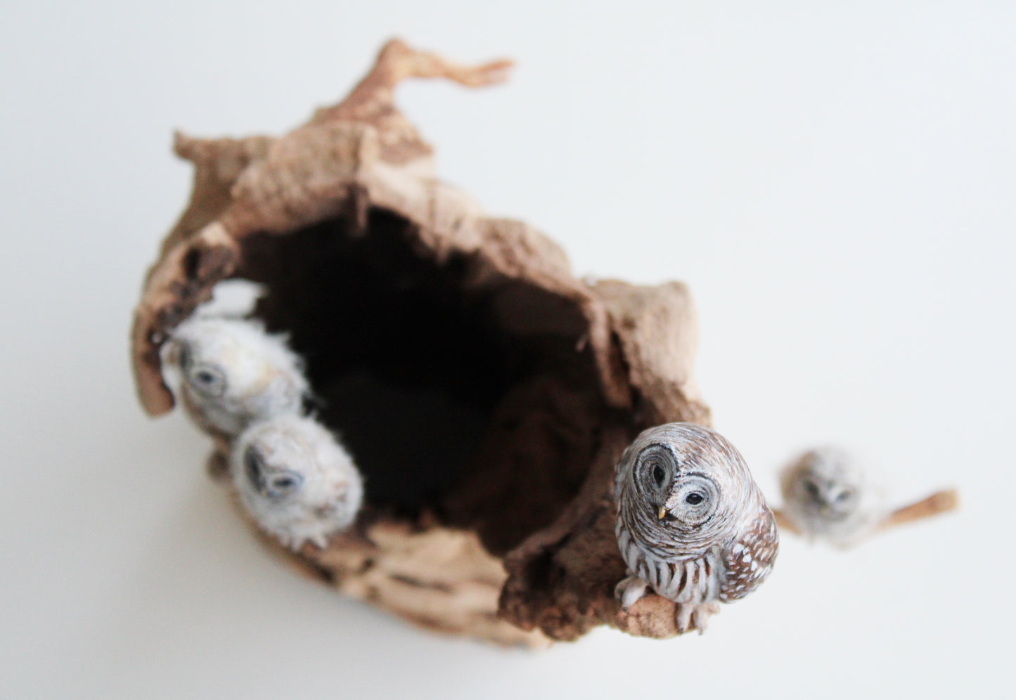 Barred Owl Family II | Wood Sculpture